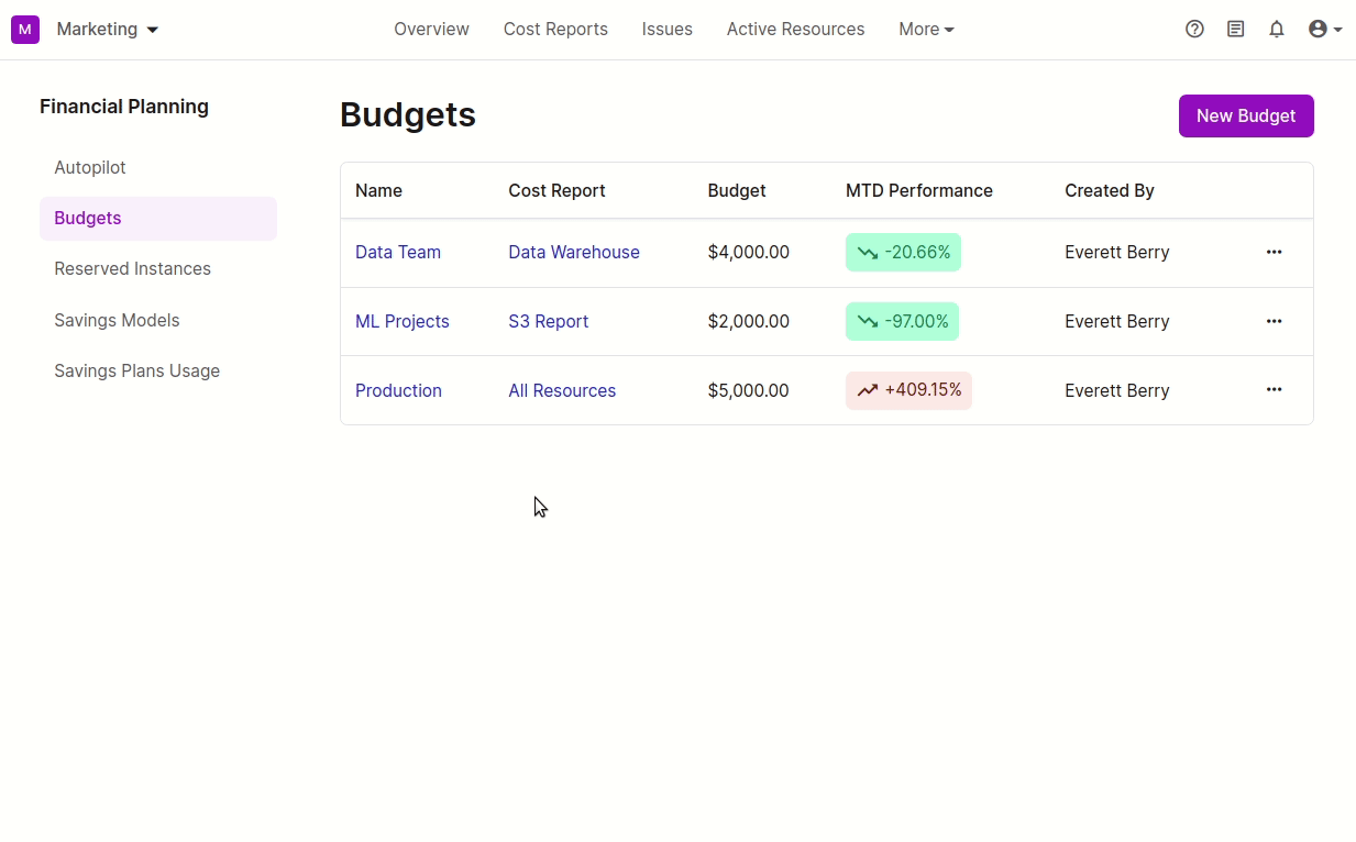 Budgets in the Vantage Console