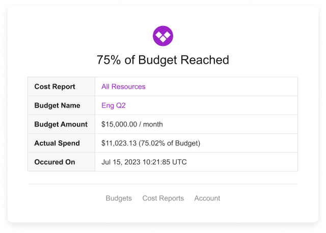 Budget alert email