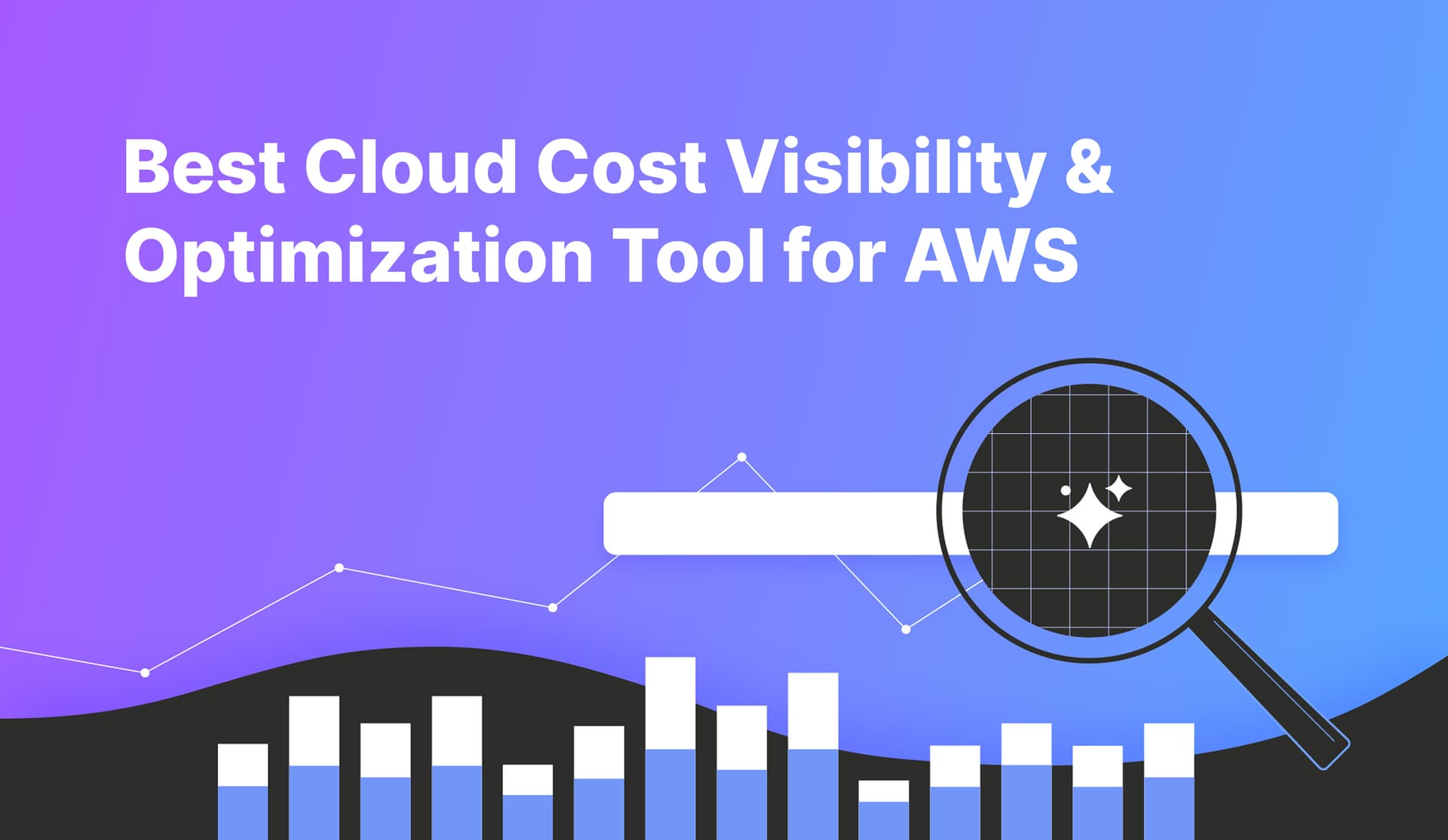 Best Cloud Cost Visibility & Optimization Tool for AWS