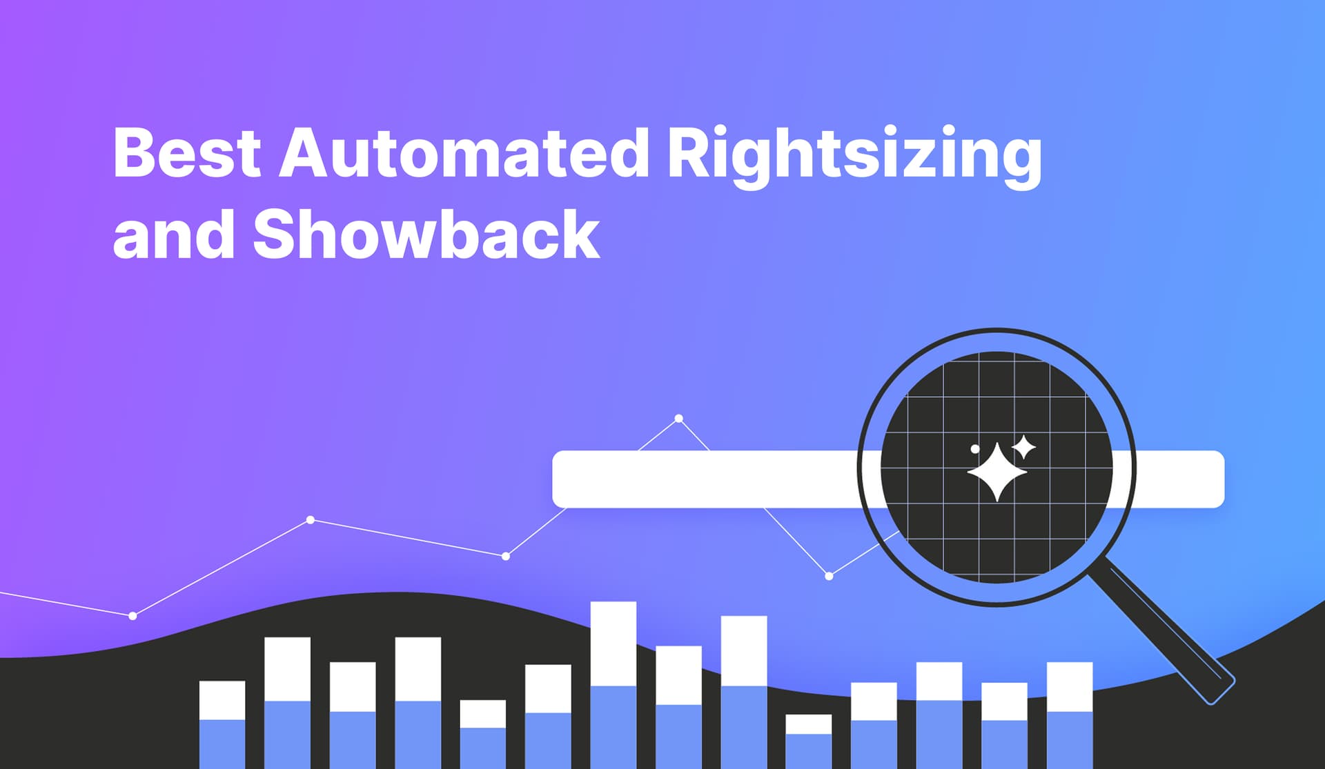 Best Cloud Cost Management Provider with Automated Rightsizing and Showback