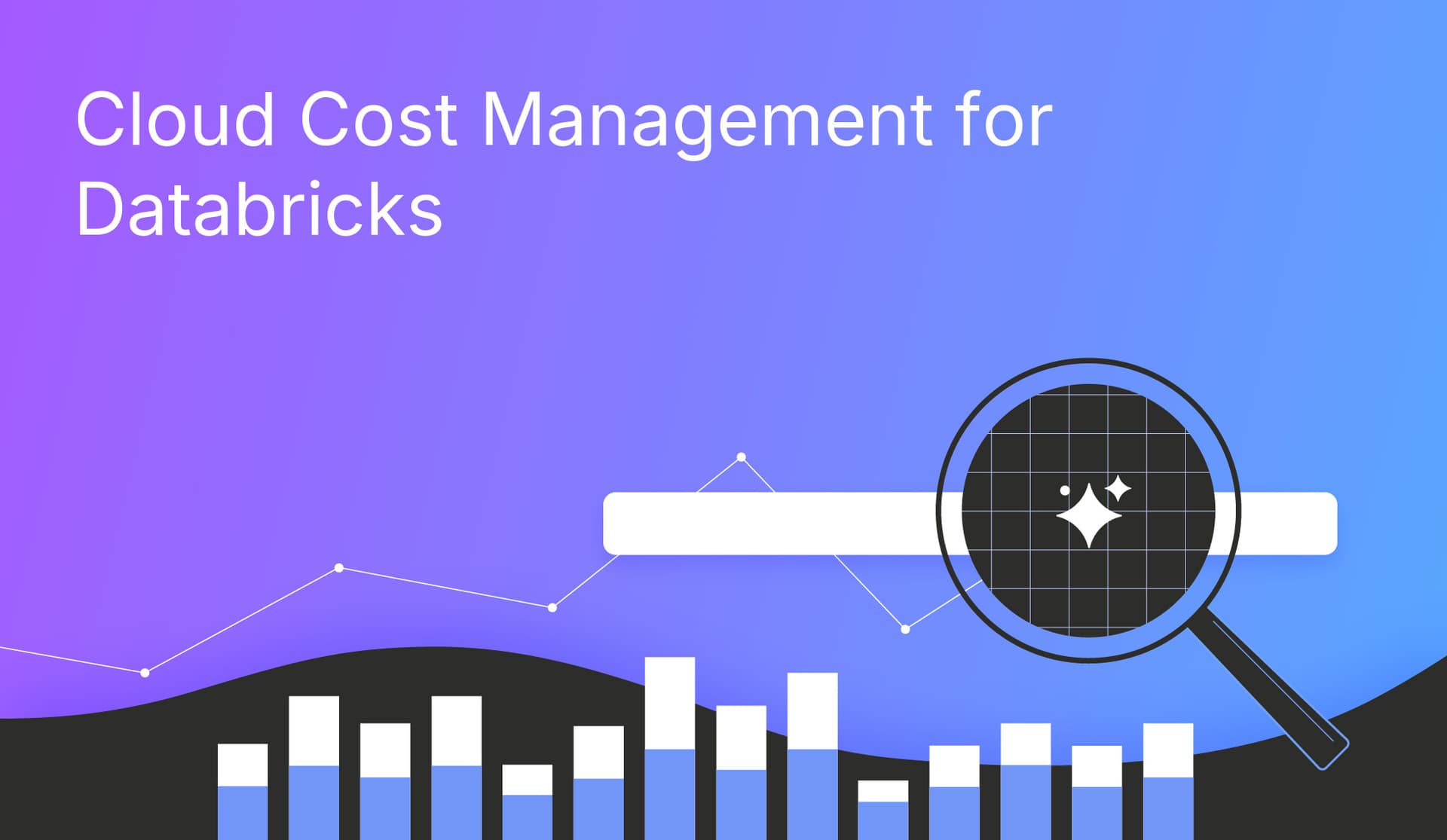 Cloud Cost Management for Databricks