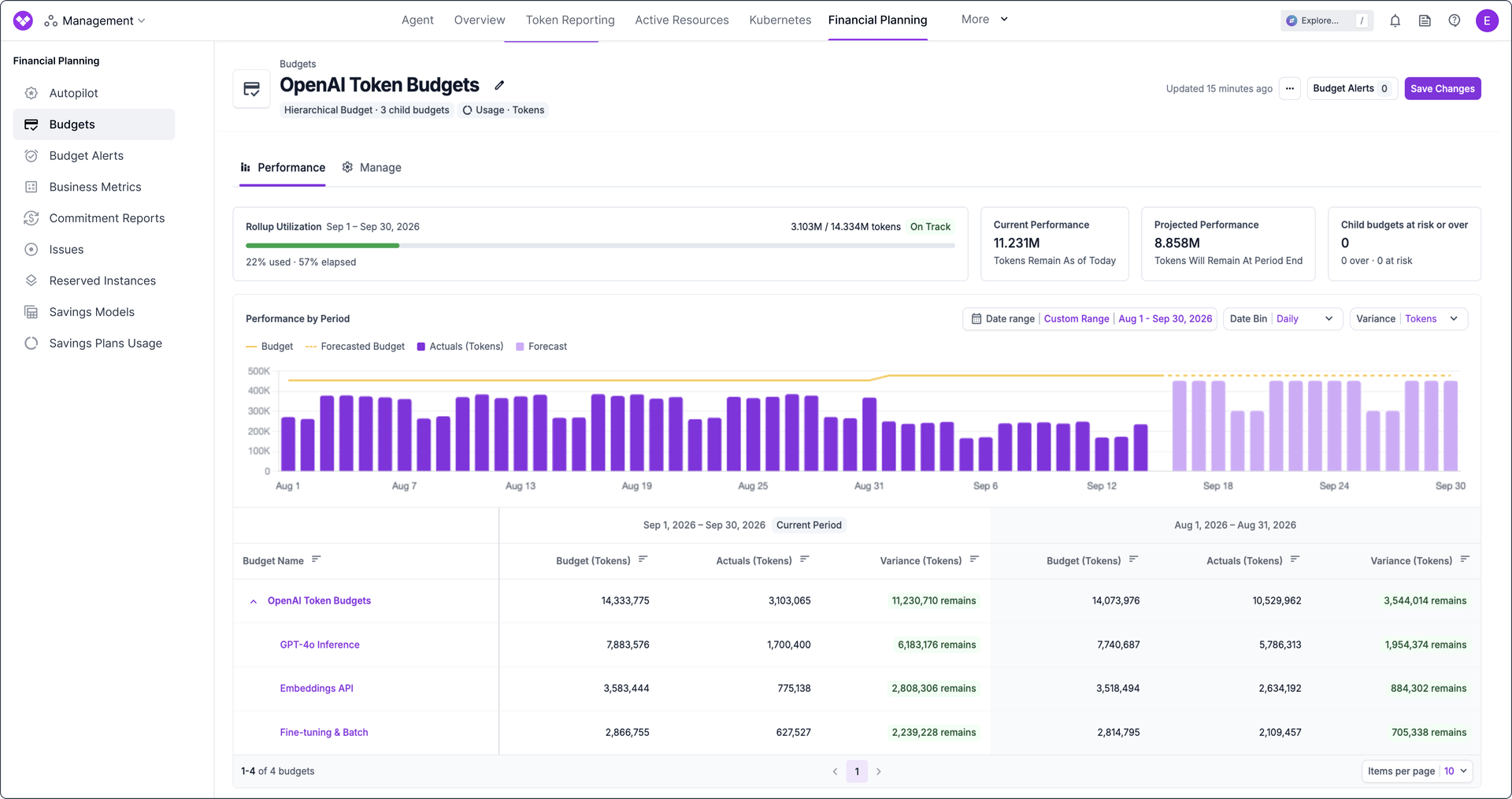 Monthly Token Budget in the Budgets page